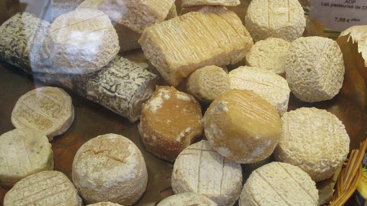 Le comptoir de la boutique, fromages de chèvre sur paille et étiquettes manuscrites