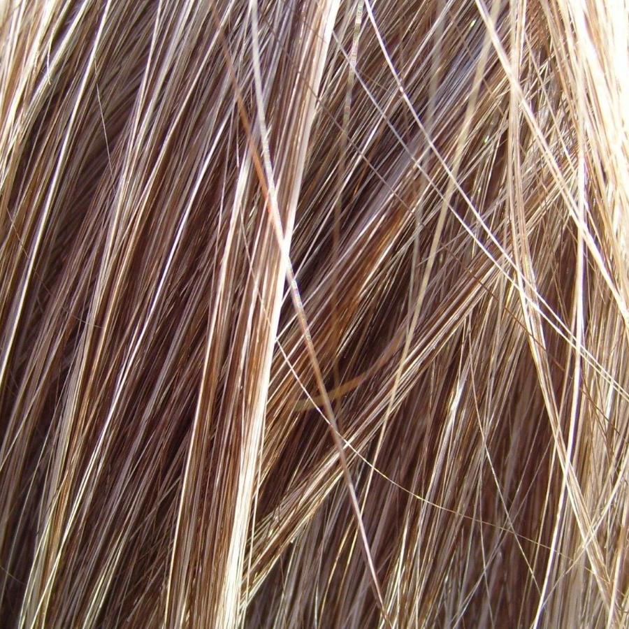 Mèches blondes et châtaines vues de très près dans la lumière du jour
