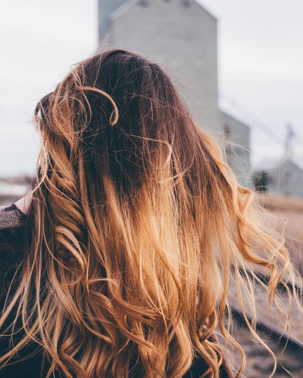 Longs cheveux vus de dos, balayage passant du châtain aux pointes blondes