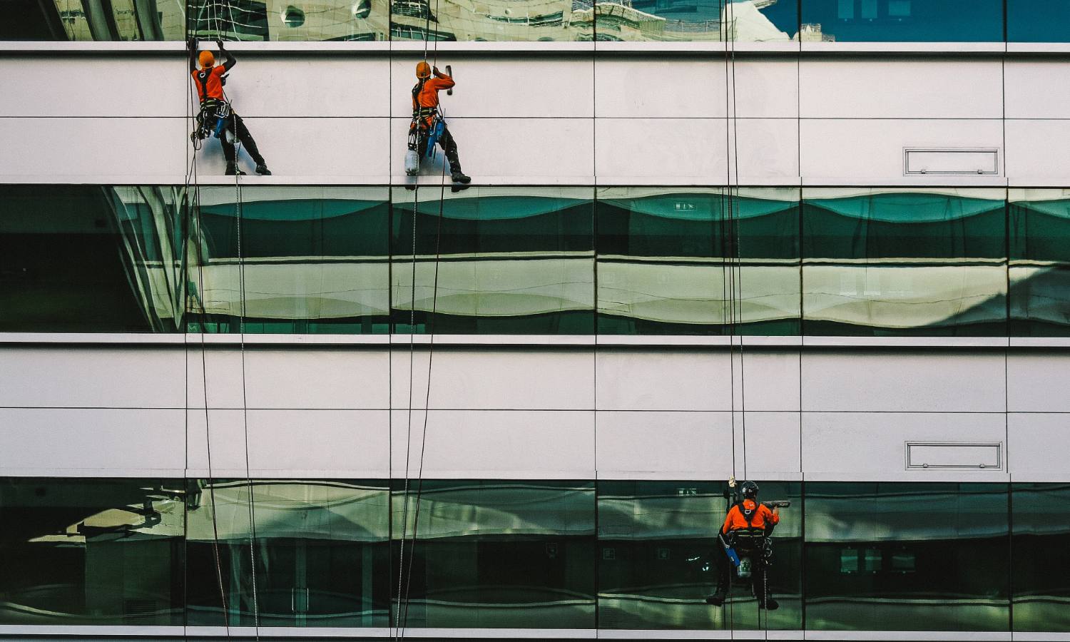 Trois cordistes en tenue de travail lavent la façade vitrée d'un immeuble de bureaux