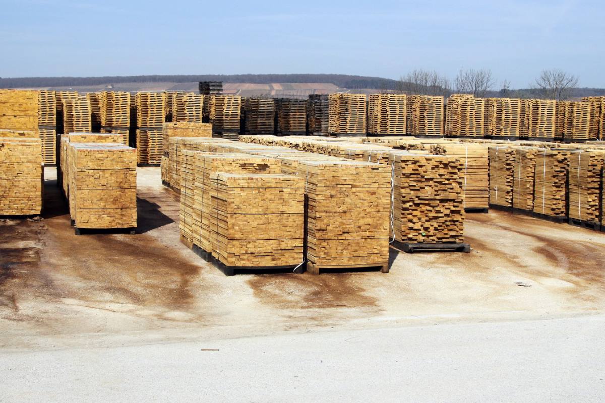 Parc à bois d'une scierie, piles de planches sciées cerclées sur palettes, alignées jusqu'à l'horizon.