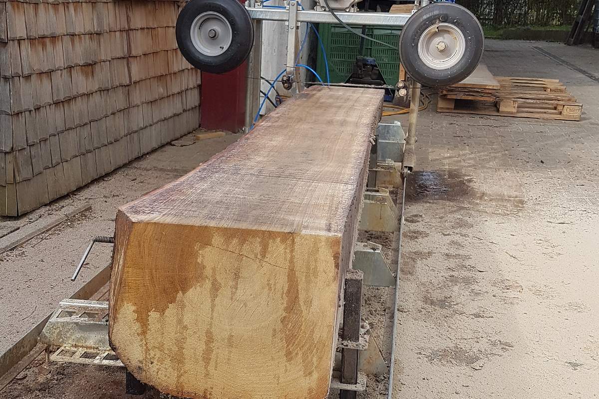 Grume de chêne équarrie sur le banc de scie, la face sciée encore claire, la tête de scie à ruban au-dessus.