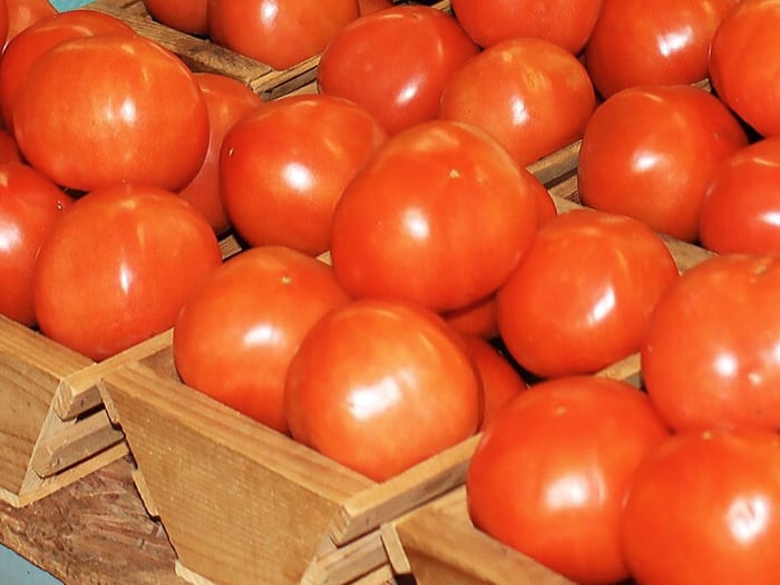 Cagettes en bois remplies de tomates mûres à la réception de l'atelier