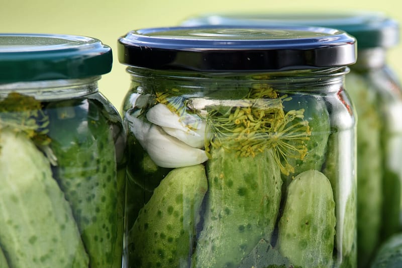Bocaux de cornichons à l'aneth, cornichons frais posés devant