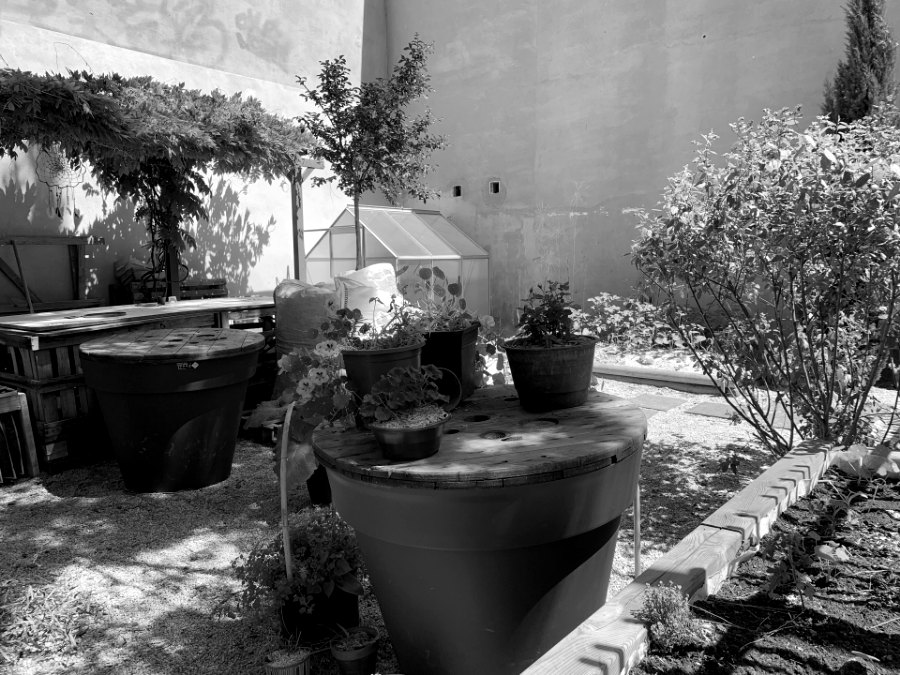 Le jardin partagé de l'association, grands bacs plantés le long d'un mur