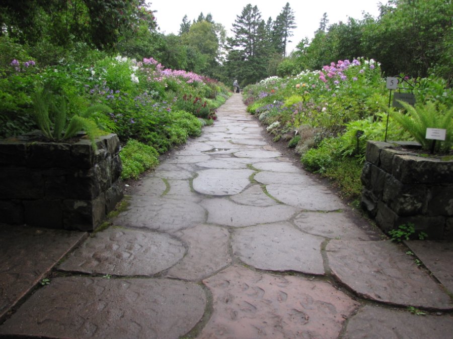 Allée de jardin en grandes dalles de pierre irrégulières, bordée de fougères, d'hostas et d'arbustes en fleurs.