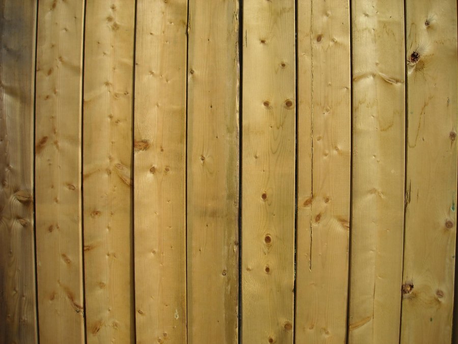 Clôture neuve en lames de pin verticales jointives, bois clair traité, vue de face.