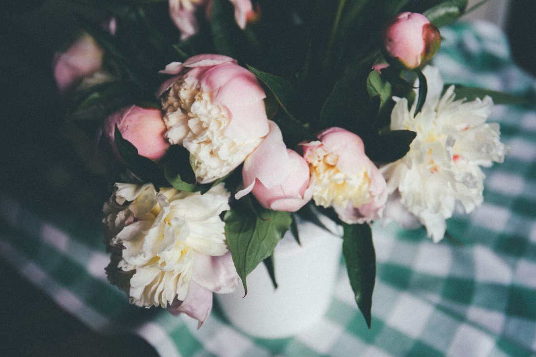 Pivoines blanches et roses dans un pot sur une table de cuisine