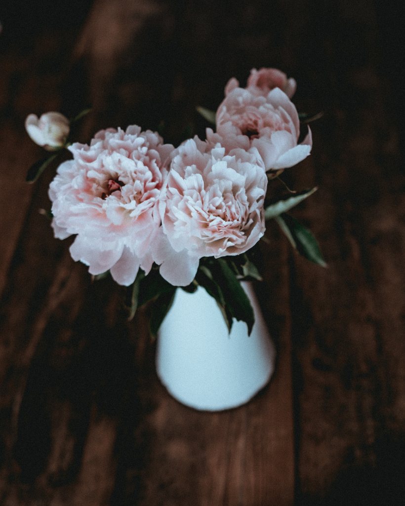Pivoines roses pâles dans un vase bleu clair sur un plateau en bois