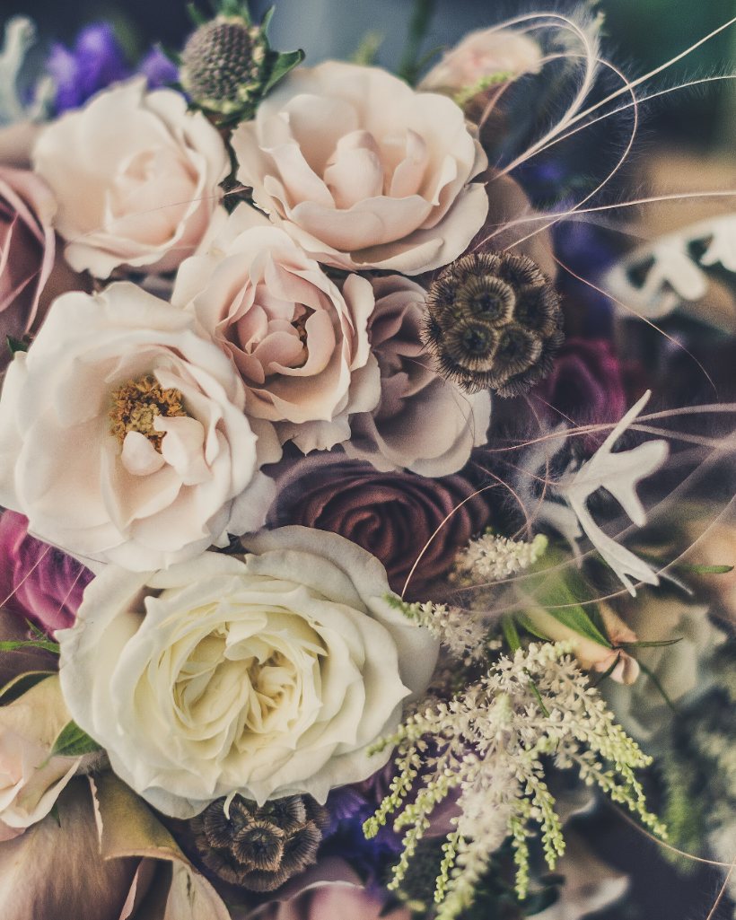 Bouquet de roses poudrées, beige et prune, avec des astrances