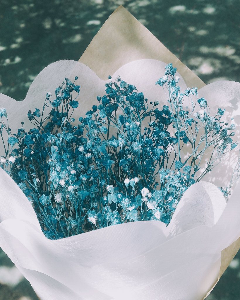 Gerbe de gypsophile séchée teintée bleu, enveloppée de papier de soie