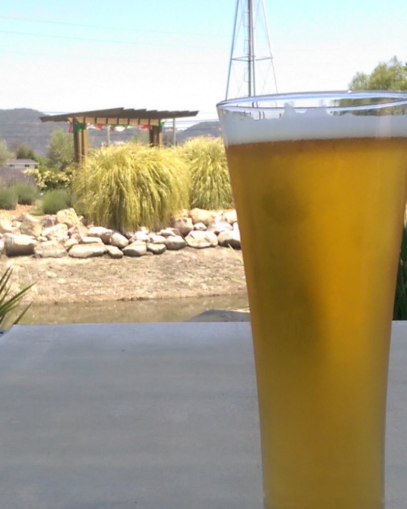 Verre de bière blonde claire posé sur une table, devant la brasserie